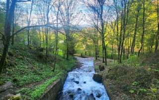 Photographie France Besançon Franche Comté Artiste Doubs