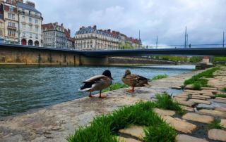 Photographie France Besançon Franche Comté Artiste Doubs