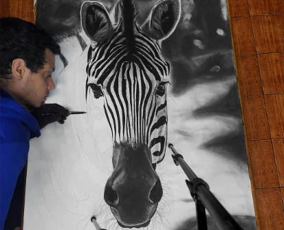 8 Zebra