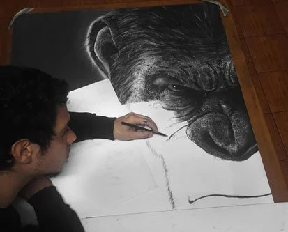 Apes-drawing-art